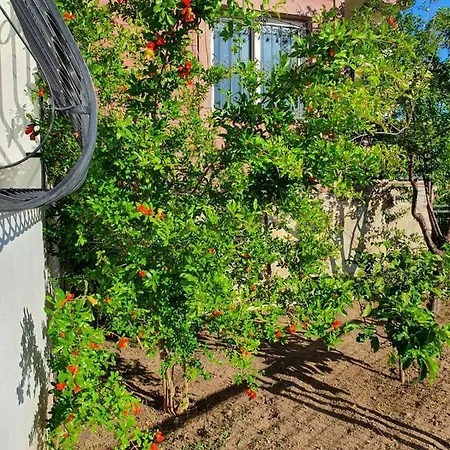 Triplex With A Unique Wide View Of Bodrum